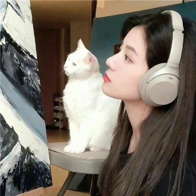 假结婚真幸福
